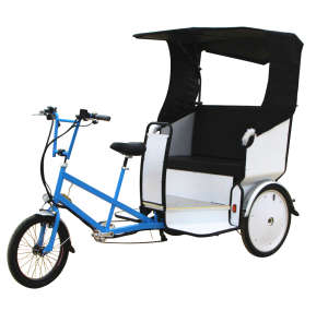 Export Bike Biz Trike with Motor Battery