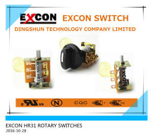 Hr31 Oven Rotary Switch with High Rating