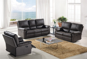 Living Room Genuine Leather Sofa (C757)